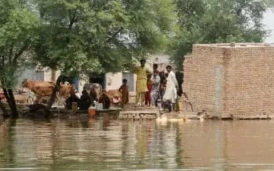 Japan pledges $2 million to support Pakistan’s climate resilience