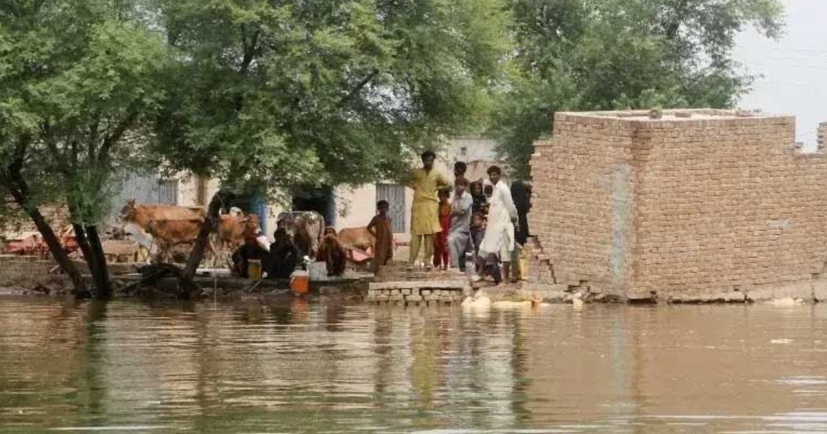 Japan pledges $2 million to support Pakistan's climate resilience