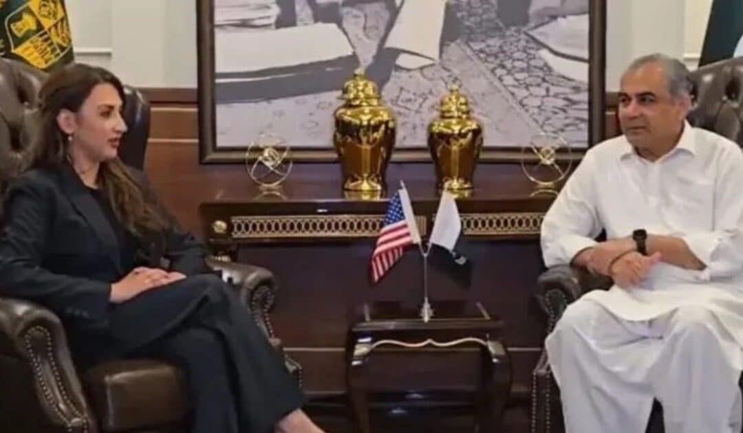 Naqvi and US Ambassador finalize high-level security for 2nd round of Islamabad Talks