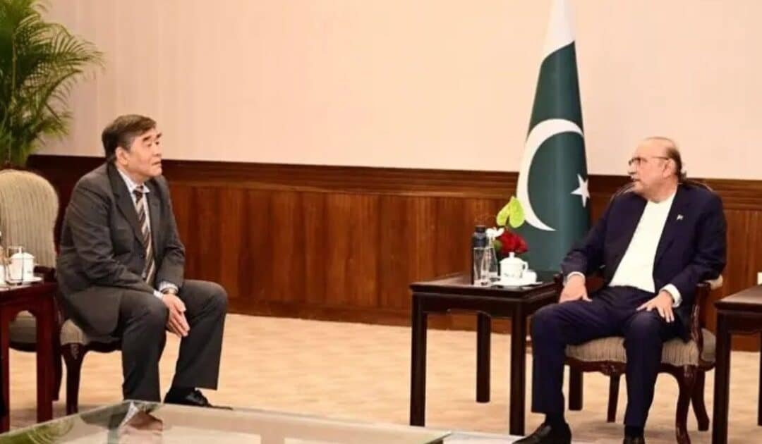 President Zardari invites Chinese industrial giants to invest in priority sectors