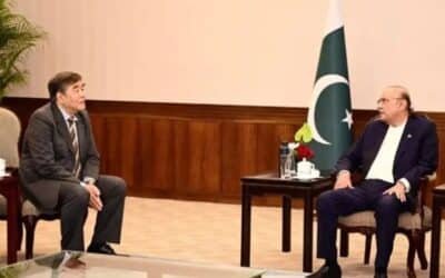 President Zardari invites Chinese industrial giants to invest in priority sectors