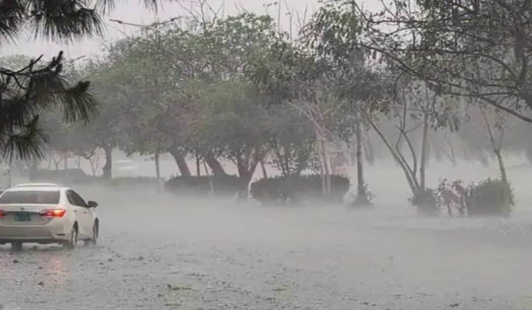 Storm Havoc in Punjab: 3 Dead, 17 Injured as Heavy Rains Trigger Roof Collapses