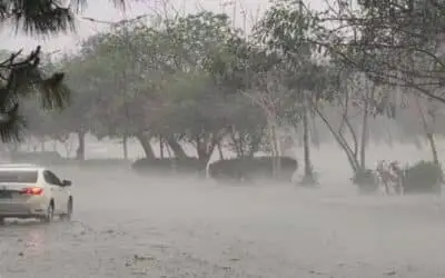 Storm Havoc in Punjab: 3 Dead, 17 Injured as Heavy Rains Trigger Roof Collapses