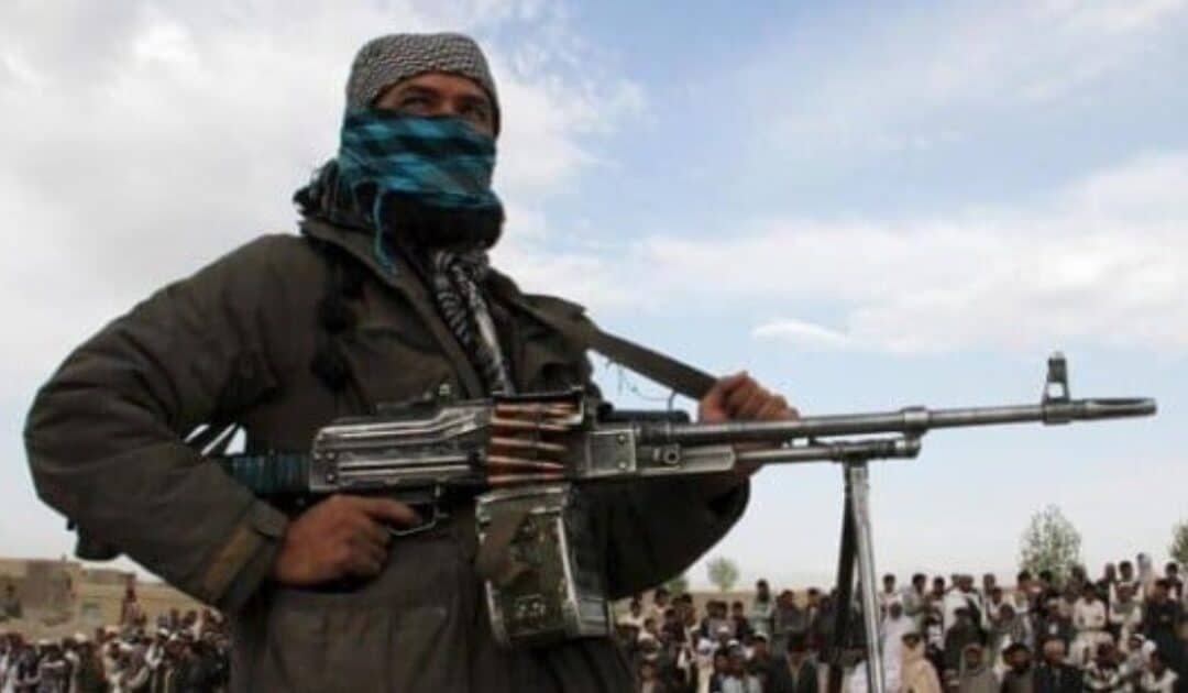 The Afghan Taliban regime’s support and patronage of the Khawarij Exposed