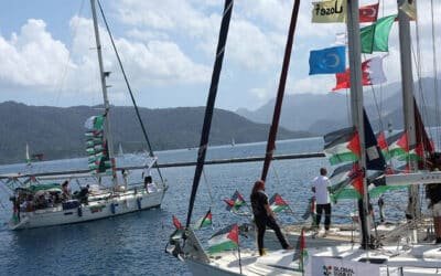 10 countries, including Pakistan, issue joint condemnation over Israeli interception of Gaza aid flotilla