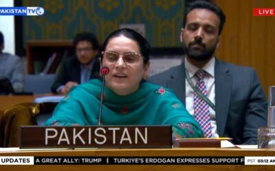 Islamabad hits back at New Delhi over malicious UNSC allegations