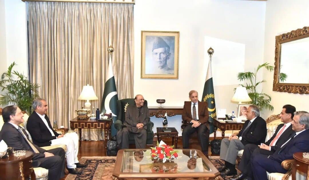 PM Shehbaz meets President Zardari; extends national austerity drive until June 13 