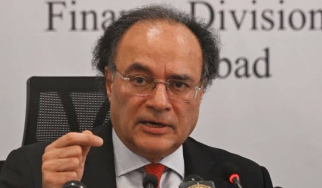 Pakistan possesses domestic fiscal space to address climate crisis, says Finance Minister