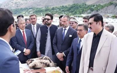 Prince Aga Khan assures KP CM Sohail Afridi of investment in the province