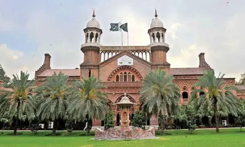 Rape case conviction rate in Sindh climbs to 22pc over five years