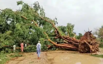 Severe storm injures 20 and collapses buildings in Bannu