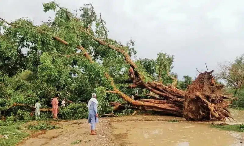 Severe storm injures 20 and collapses buildings in Bannu