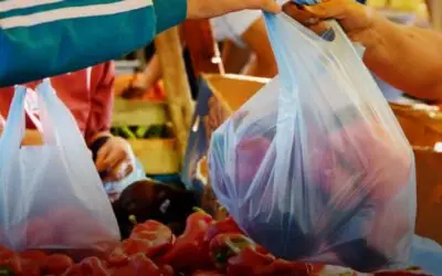 Punjab Bans Retailers from Charging Customers for Plastic Bags Starting September 6