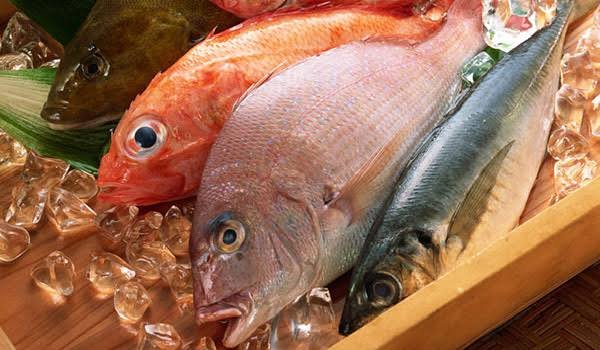 Pakistan’s Seafood Exports to China Jump 41% in 07 Months