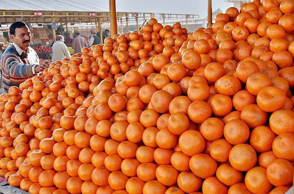 Pakistan Eyes China’s Retail Market to Grow Kinnow Exports