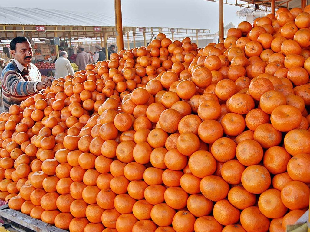oranges